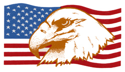 Gold Eagle & American Flag