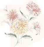 Christina  Pastel Mums