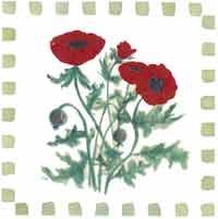 Poppies - Tile Design