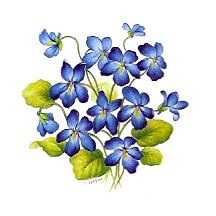 Flowers of the Months - February-Violets