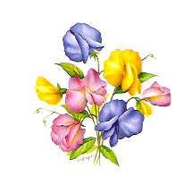 Flowers of the Months - April-Sweet Peas