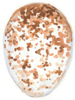 Gold Finch-Egg