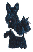 Dogs -  Scottish Terrier