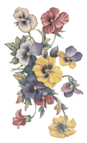 Summer Pansies