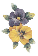 Summer Pansies Bits