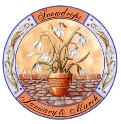 Potted Flowers - Snowdrops - January to March