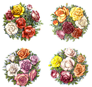 Summer Rose Bouquets