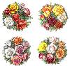 Summer Rose Bouquets