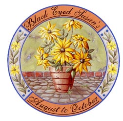 Potted Flowers - Black Eyed Susans - August to October