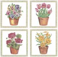 Potted Flowers - Tulips, Hyacinth, Pansies, Lilies