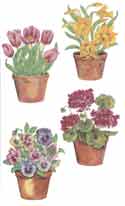 Potted Flowers - Tulips, Hyacinth, Pansies, Lilies