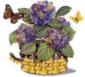 Hydrangea Basket with Butterfly