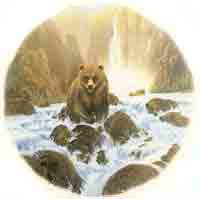 Bear Scene