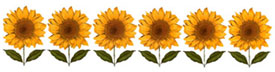 Sunflower Borders