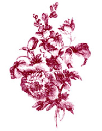 Toile Floral