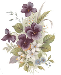 Pansiola - Pansy-Pansies