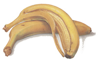 Fruit - Bananas