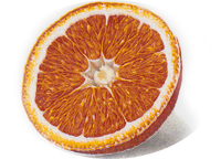 Fruit - Oranges