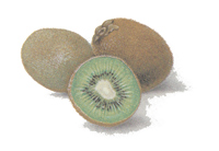 Fruit - Kiwis