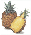 Fruit - Pineapples