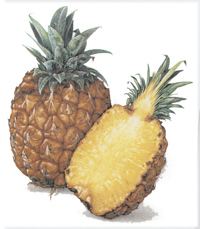 Fruit - Pineapples