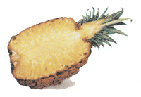 Fruit - Pineapples