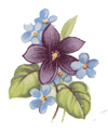 Violets Flowers