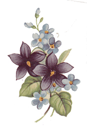 Violets Flowers