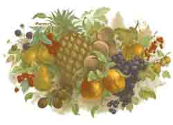 Fruit Festival Mural, Pineapple, Pears, Plums, Currents, Grapes, Raspberry, Peaches, Apples, Blueberries, Gooseberries