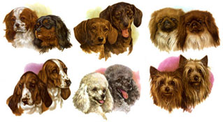 Dogs - Bits Dog Heads  Pekingese, Poodel, Bassett Hound, Terrier, Cocker Spaniel, Dachshund