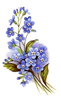 Forget-Me-Nots - Blue