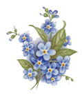 Forget-Me-Nots - Blue