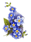 Forget-Me-Nots - Blue