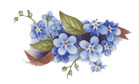 Forget-Me-Nots - Blue