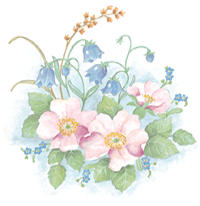 Pink and Blue Flowers