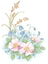 Pink and Blue Flowers