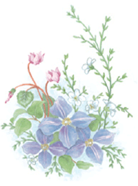 Blue Flowers