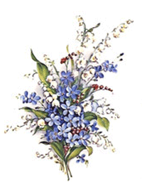 Forget-Me-Nots