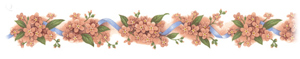 Forget-Me-Nots - Pink - Border