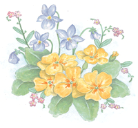 Yellow Flowers