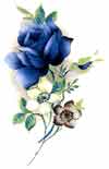 Roses - Blue Muted bits