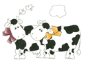 Cows