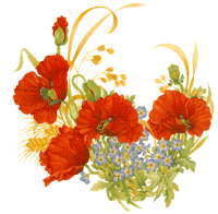 Poppies and Forget-Me-Nots