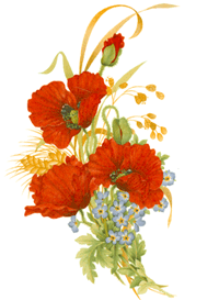 Poppies and Forget-Me-Nots