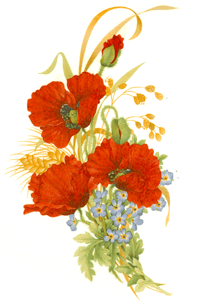 Poppies and Forget-Me-Nots