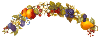 Fruit - Strawberries, Cherries, Plum, Apple, Peach