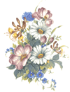 Daisy Daisies Bouquet