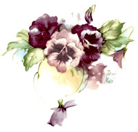 Pansy Pansies Spray