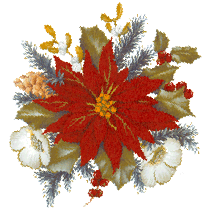 Poinsettia