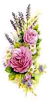 Pink Rose Bouquet with Lavender